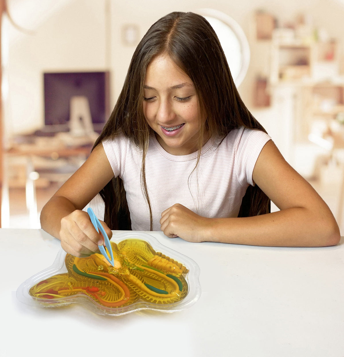 Dissect It Kit De Disección Serpiente Para Niños