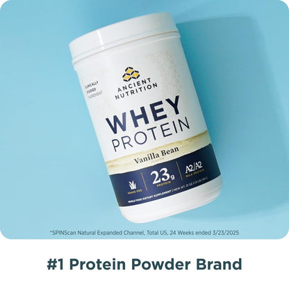 Ancient Nutrition Proteína Whey A2 Sabor Chocolate y Crema de Cacahuate 610 g