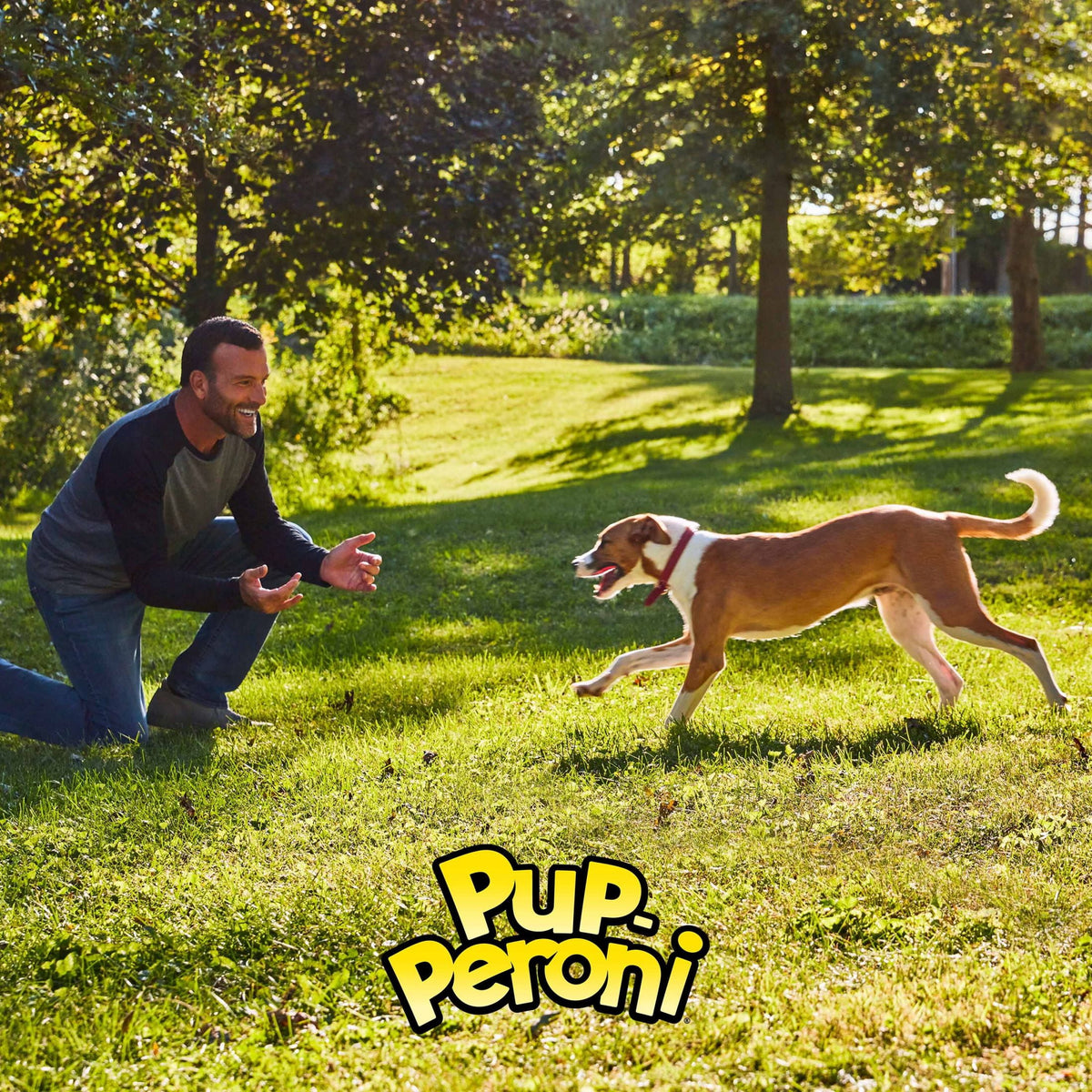 Premios Perro Pup-Peroni Filete Tocino 638g Pack 2