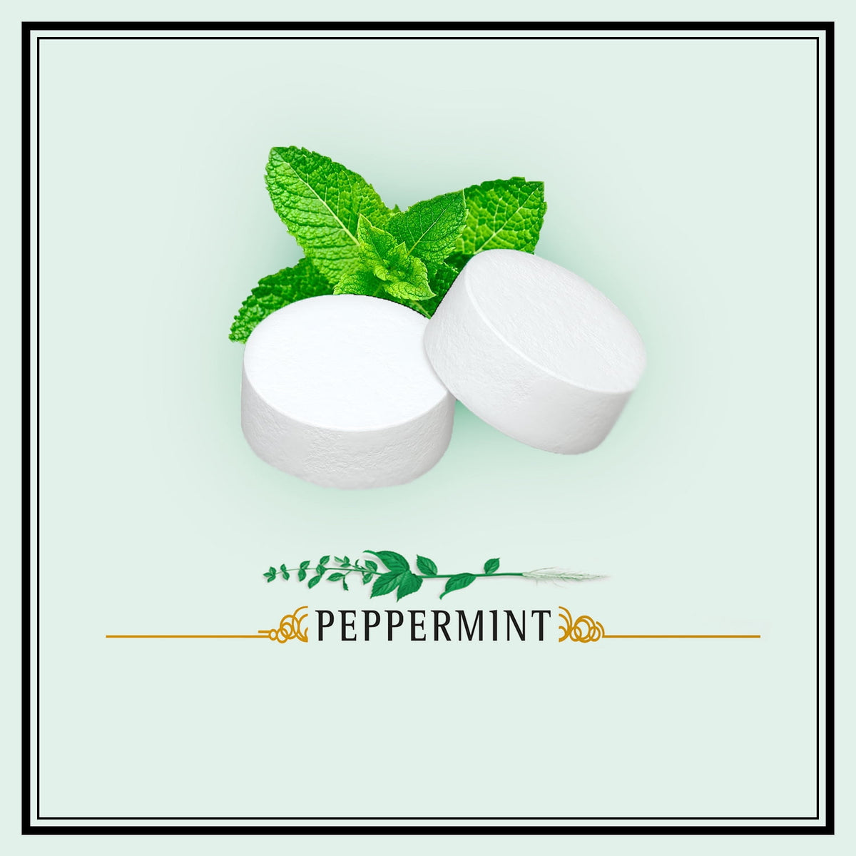 Mentas Altoids Menta Lata 50g Pack 4