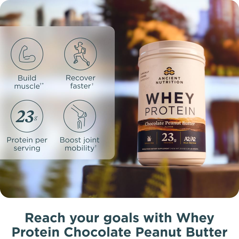 Ancient Nutrition Proteína Whey A2 Sabor Chocolate y Crema de Cacahuate 610 g