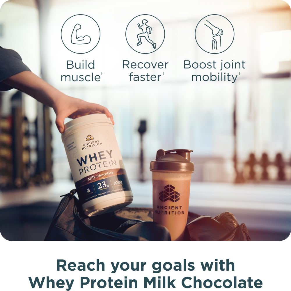 Ancient Nutrition Proteína Whey A2 Sabor Chocolate con Leche 646 g