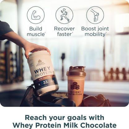 Ancient Nutrition Proteína Whey A2 Sabor Chocolate con Leche 646 g