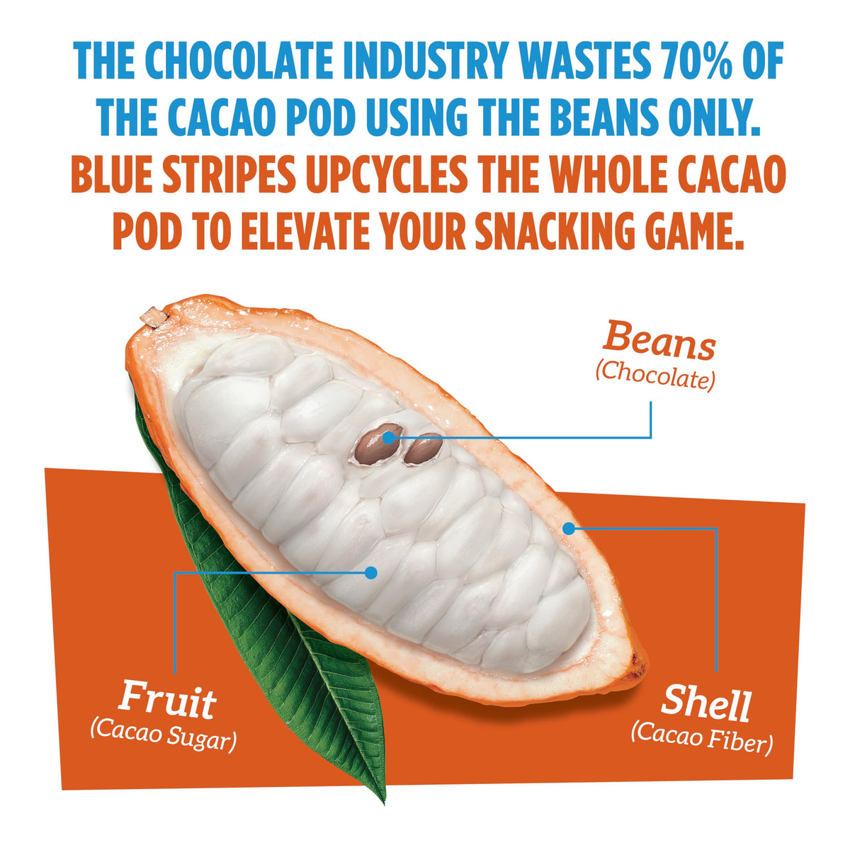 Blue Stripes Mezcla de Frutos Secos Mango, Macadamia y Cacao 181 g