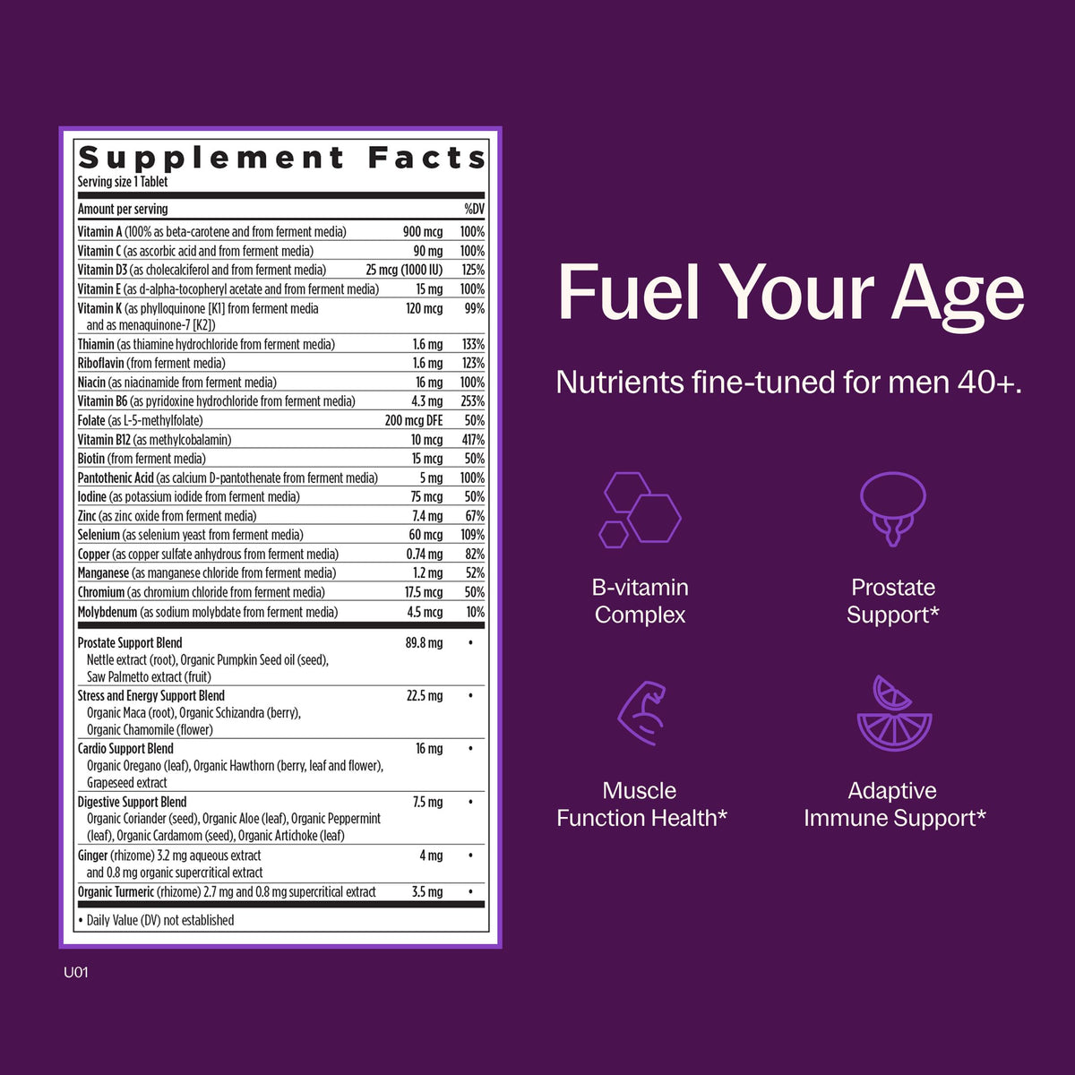 New Chapter Multivitamínico Every Man's One Daily 40+ 48 Tabletas