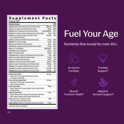 New Chapter Multivitamínico Every Man's One Daily 40+ 48 Tabletas