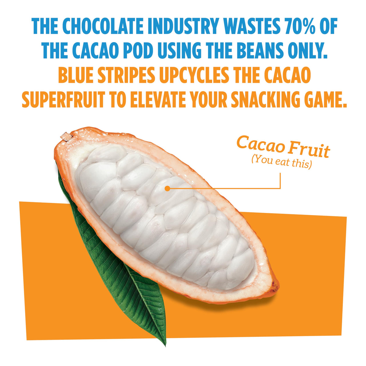 Blue Stripes Fruta de Cacao Deshidratada 91 g