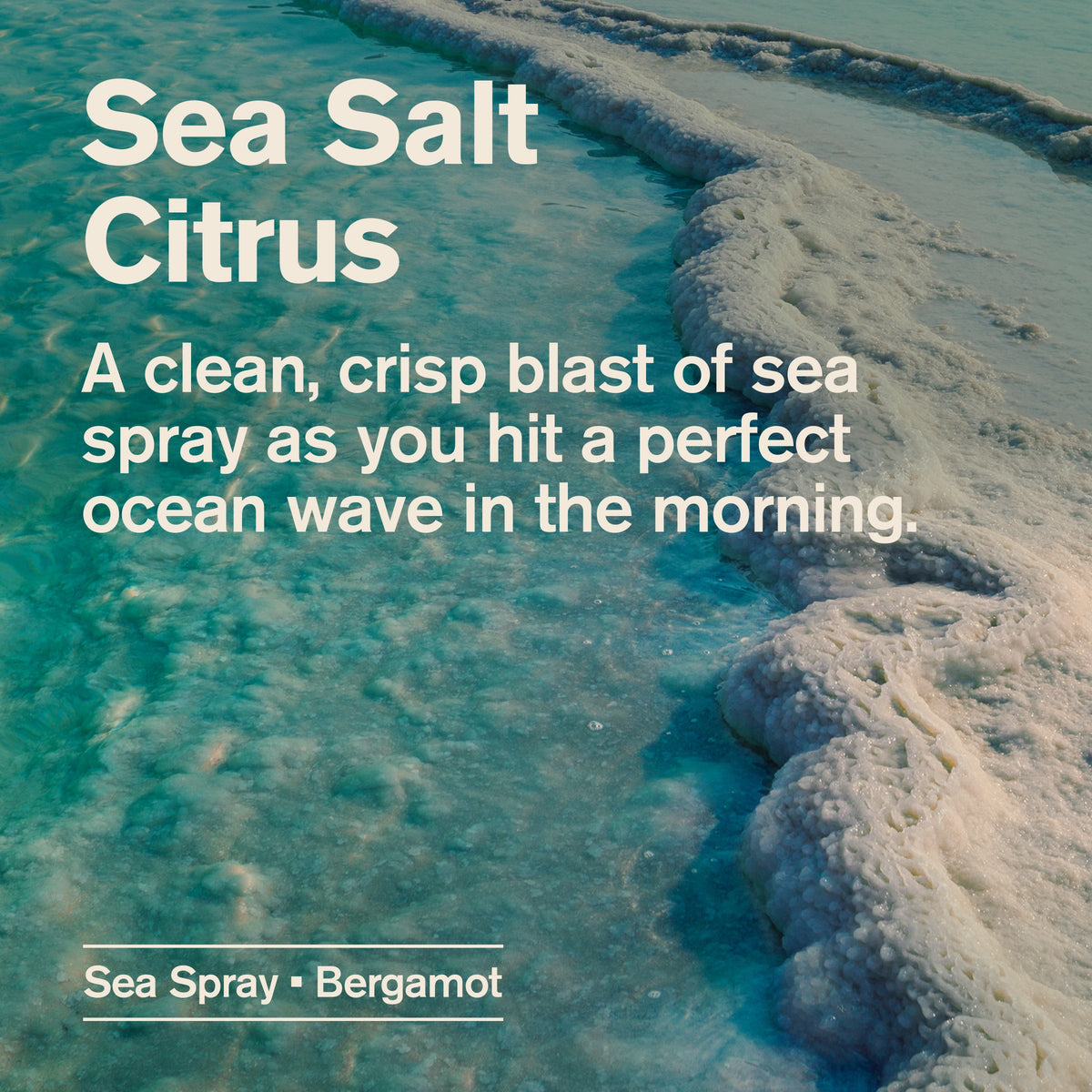 Regalo Desodorante Every Man Jack Sin Alum Sea Salt + Citrus