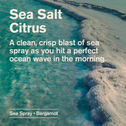 Regalo Desodorante Every Man Jack Sin Alum Sea Salt + Citrus