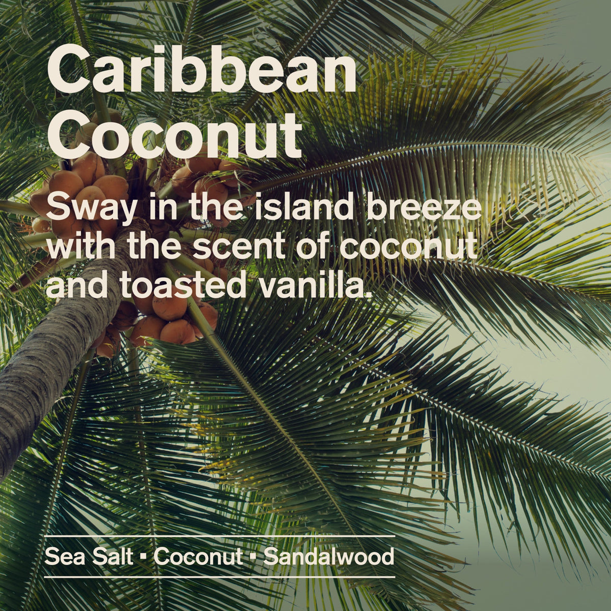 Regalo Shampoo Every Man Jack Shamp Caribbean Coconut / 12oz