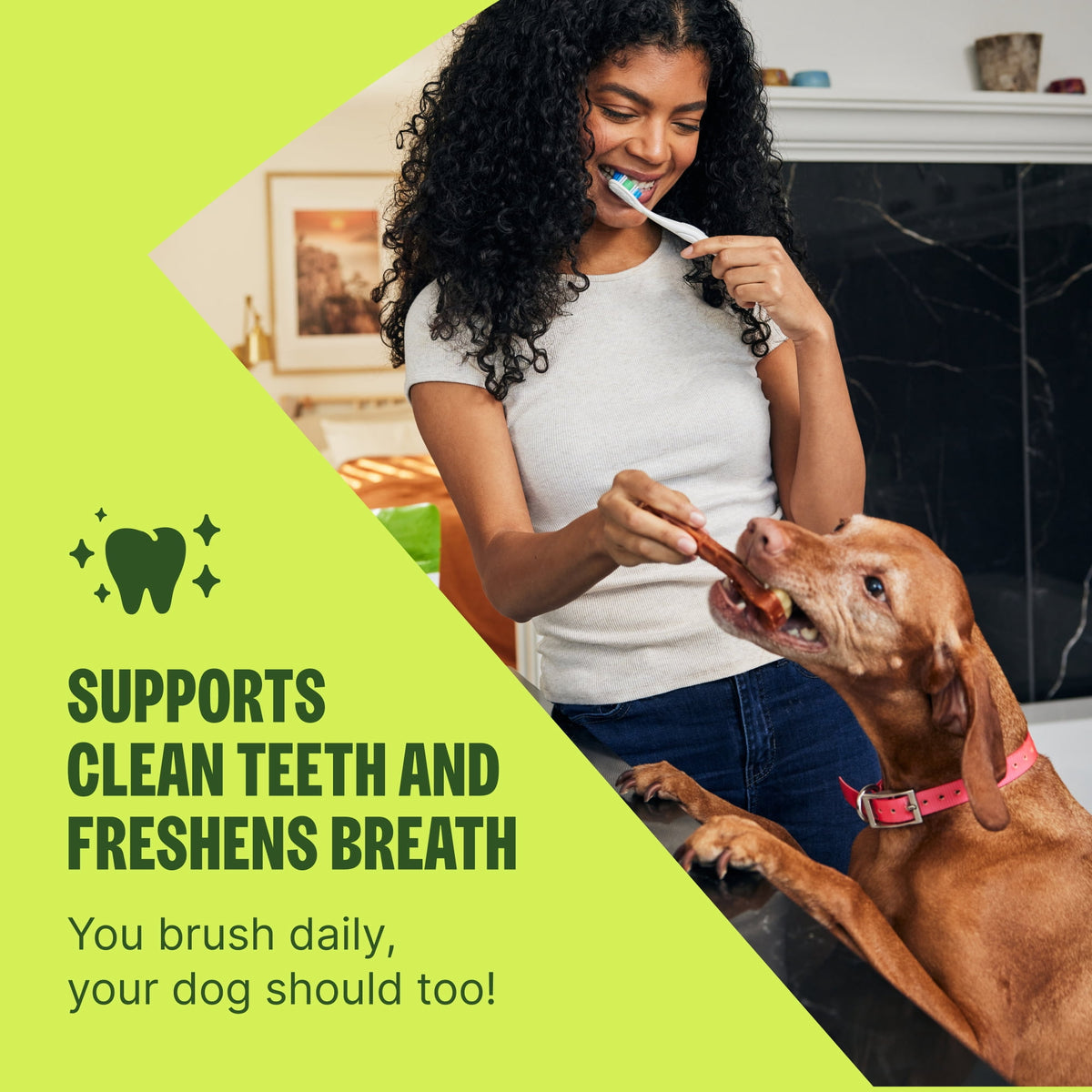 Premios Perro Whimzees Ricebone Grande 9 Piezas Pack 2