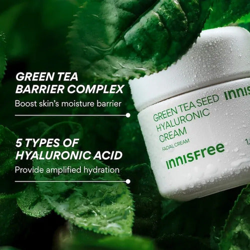 Set De Regalo Navidad Innisfree Te Verde Mini