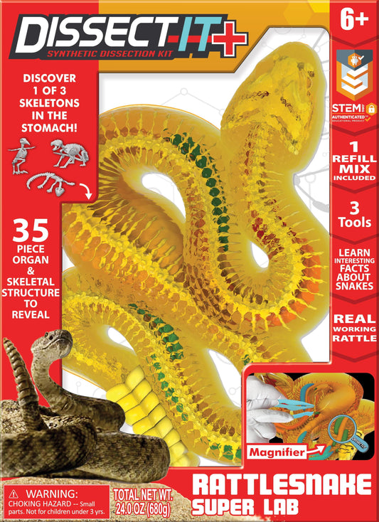 Dissect It Kit De Disección Serpiente Para Niños