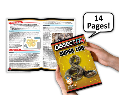 Dissect It Kit De Disección Serpiente Para Niños