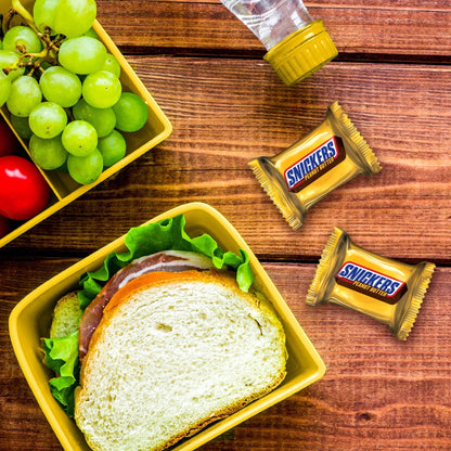 Snickers Peanut Butter Fun Size 235 g